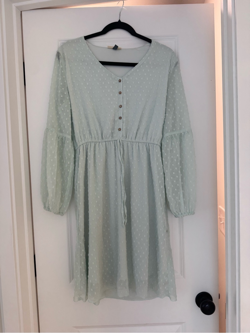Light Mint Swiss Dot Long-Sleeve Dress